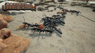 Empires of the Undergrowth Freeplay 2 The Matabele Ants Rise [upl. by Olenta853]