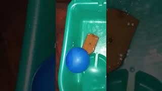 Funtime with ziyaan water balloon n boat diy waterboat crarf zayaan subscribers [upl. by Fairman428]