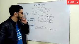 Introduction to Streptococcus [upl. by Martino]