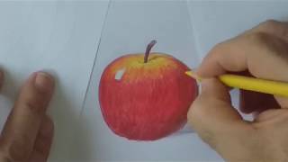 Clase de arte 8 dibuja una manzana en tu bodegón [upl. by Siger]