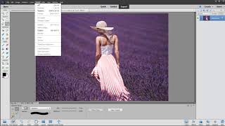 Subject Selection with Adobe Photoshop Elements 2020 [upl. by Marlon]