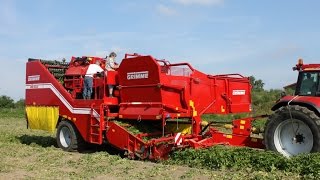 GRIMME SE 15060  trailed Potato Harvester [upl. by Casimir445]