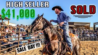 THE ROPE HORSE SALE WICKENBURG AZ  2023 [upl. by Isadore]