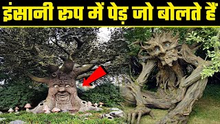 अजीबोगरीब पेड़ जिन्हें देखकर Scientist भी हैरान है  10 Strangest and Rarest Trees on Earth [upl. by Giacamo]