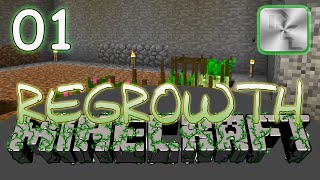 Minecraft Regrowth Modpack  Regrowth Lets Play  Ep 1  Getting Started in Regrowth [upl. by Naujahs]