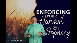 ENFORCING YOUR HARVEST amp PROPHECY APOSTLE JOSHUA TALENA cross bible live words gospel heaven [upl. by Kendre]