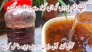 How to Make Organic Fertilizer for All Plants Special Cheap Fertilizer for Healthy Flowers amp Fruits [upl. by Atinahc]