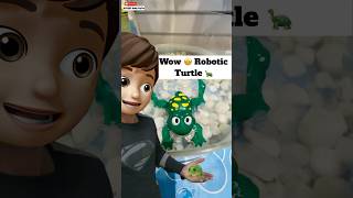 Wow 🤩 Robotic Turtle 🐢  minivlog [upl. by Nnairet657]