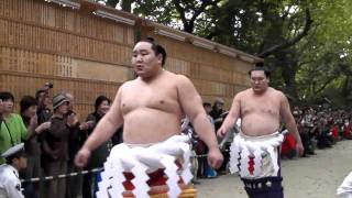 横綱 朝青龍と白鵬（平成21年11月8日）住吉神社 参道 [upl. by Orlena]