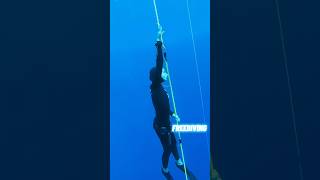 Diving vs Freediving⚡️ apnea diving freediving bluehole onebreath underwater [upl. by Sug]