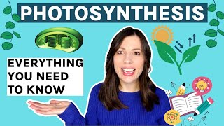 Photosynthesis AQA Alevel Everything you need to know [upl. by Phare]