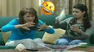 شوفلي حل  حلقة زينب والسلاطة المشوية 😂😂 Choufli Hal HD [upl. by Jojo927]