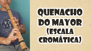 Notas del quenacho do mayor  Escala cromática [upl. by Ykcir]