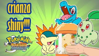 cria tus propios pokemon shiny y perfectos en pokemon heart gold y soul silver [upl. by Hubey35]