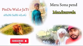 PinDa WaLe JaTt Video in Mandranwala🐅 Shani sahi Vilog 🛖🤗😍youtubeshorts shorts PinDa WaLe JaTt🍍 [upl. by Heffron]