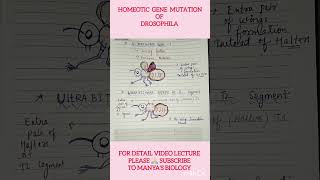 Simplified Notes 🔥Drosophila Homeotic Gene Mutation  Easy Learning 🔥csirnetlifescience shorts [upl. by Ymled]