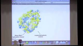 Kevin Aherns BiteSized Biochemistry 5 Protein Structure III [upl. by Anivid]