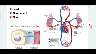 MPSC DRUG INSPECTOR  COMPOSITION AND FUNCTIONS OF BLOOD [upl. by Ynoyrb]