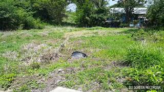 Land For Sale Bobb Manswell Trace Sherwood Park Tobago [upl. by Yssak92]