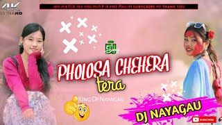 Pholosa Chehera Tera Dj Hindi Song  Full Hard MixingSachin Babu K sytel Me MixingMix Dj Nayagau [upl. by Nilrak224]