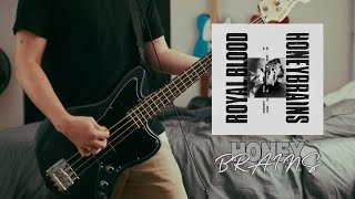 Honeybrains  Royal Blood Bass Cover [upl. by Filberto]