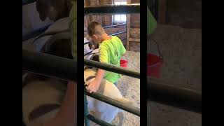 Carlos Ayala Zierke Boer Goat Nation Scholarship Application 2024 [upl. by Myriam]