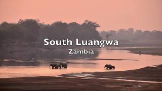 South Luangwa Zambia [upl. by Laon]