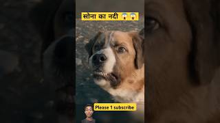 The dog loves its owner very much shorts movie viral movie facts viralshorts [upl. by Ruggiero]