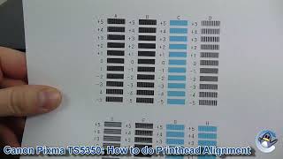 Canon Pixma TS5350 How to do Manual Print Head Alignment [upl. by Esmaria]