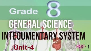 UNIT 4  INTEGUMENTARY SYSTEM  Part 1  SOMALI [upl. by Htes]