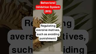 Behavioral Inhibition System BIS [upl. by Eedyah71]