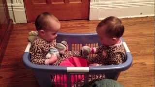 Twin Babies Talking in a Laundry Basket [upl. by Atiral]