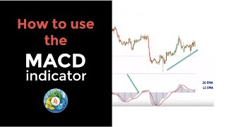 MACD Indicator MT4 Default Setup Explained [upl. by Ofilia]