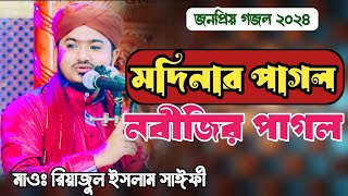 নবীর প্রেমে পাগল করা গজল। Riyajul islam saify নবীজির পাগল মদিনার পাগল। রিয়াজুল ইসলাম সাঈফী nobijir [upl. by Gunning]