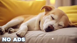 12 Hours Anti Anxiety Music For Dogs 🐶 Stress Relief Music For Dogs ♬ Calming Music For Dogs [upl. by Yeslek]