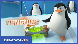 quotNorth Wind Headquartersquot Clip  PENGUINS OF MADAGASCAR [upl. by Nikolos]