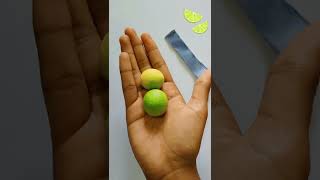 how to make blue🔵 litmus paper at home in easy way science litumas acid project blue to red [upl. by Jolie764]