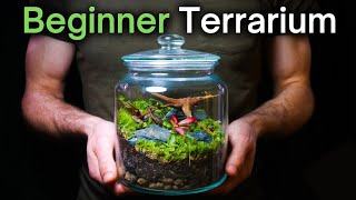 How To Make a Terrarium An InDepth Tutorial [upl. by Eineg]