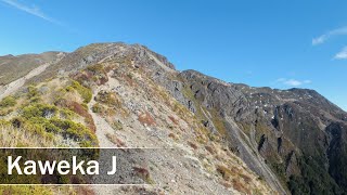 KawekaJ Kaweka Forest Park New Zealand  4K [upl. by Marga]