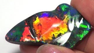 Top Quality Boulder Opal DL1649 [upl. by Amalbena447]