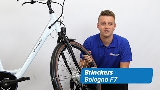 Brinckers Bologna F7 Review  Ebike [upl. by Sikram872]