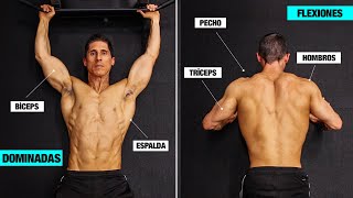 Entrenamiento en Casa DOMINADAS y FLEXIONES Todos los Niveles [upl. by Ecirehs]