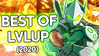 LevelUpLiftings BEST OF 2020 [upl. by Icaj]