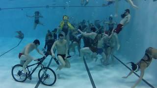 Ball State University Swim and Dive Harlem Shake [upl. by Tebazile768]