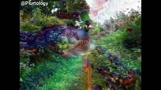 LSDACID Trip Simulation POV [upl. by Ashatan718]