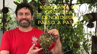 Como fazer Kokedama de Orquídea Dendrobium Passo a Passo [upl. by Helfand]