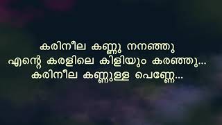 Karineela Kannulla Penne കരിനീലക്കണ്ണുള്ള പണ്ണ്  Song With Lyrics  Melodious Songs [upl. by Mar]