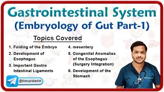 Embryology of Gastrointestinal system  Development of Foregut Part  1 [upl. by Mcferren]