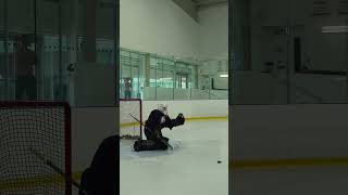 Visualization is key for elite goaltenders goaliecoaches goalietraining goaliesaves hockey [upl. by Simetra499]