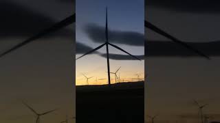 Wind fan 😲 nature shorts youtubeshorts subscribe [upl. by Nylacaj]